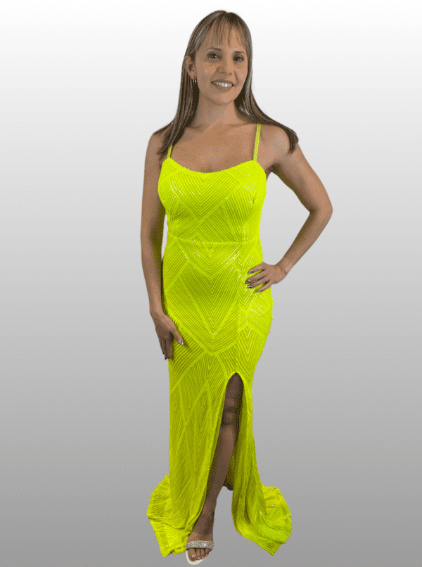 VESTIDO ROSS - Imagen 2